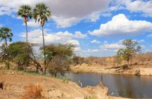 Selous Game Reserve Road Trip- Boat Safari, Game Drive And Walk Safari