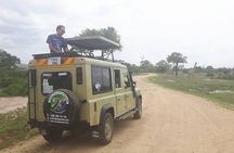 Ruaha National Park And Mikumi National Park Budget Safari 6 Days 5 Nights 
