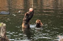 Fortress of the Bear & Totems Historical Tour