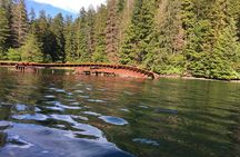 Private Whale Watching and Marine Wildlife Tour