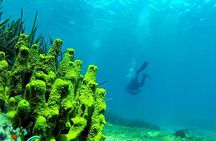 2 Dives Package