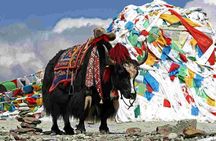 Bhutan Package Tour - 6 Days