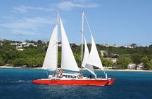 Barbados Catamaran Turtle and Shipwreck Snorkeling Cruise