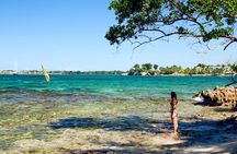 Falmouth Shore Excursion: Private Montego Bay City Tour