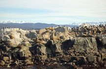 Beagle Channel Navigation - Sea Lions Island