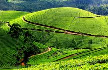 Private 7-Day Kerala Tour From Kochi With Aleppey Houseboat Cruise