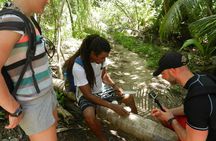 Anse Marron Tour