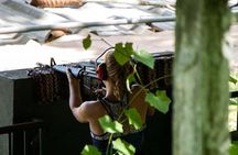 Ho Chi Minh City: Half-day Underground Secrets Of Cu Chi