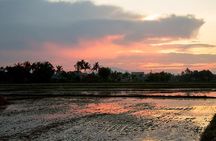 Half-day Hoi An Sunrise Or Sunset Photo Tour