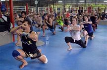 Muay Thai (Thai boxing) Lesson With Private Transfer From Bangkok