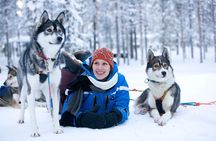 Arctic Circle Family Day