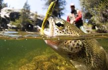 Arctic River Fishing Tour