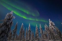 Hunting Northern Lights with Husky