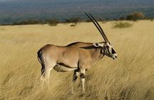 Awash National Park Tours
