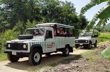 Mystic Island Safari