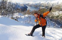 Snowshoeing - Winter Day Trip in Bodo, Northern Norway