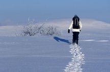 Snowshoeing - Winter Day Trip in Bodo, Northern Norway