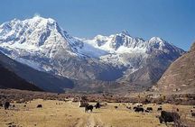 Manaslu Circuit Trek