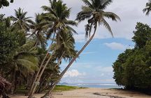 Namua Turtle Island and Eastern Upolu Tour