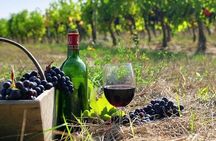 The Nemea wine roads with breathtaking Nafplion private tour