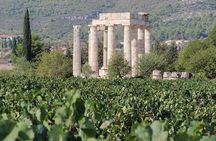 Nemea wine roads, The most famous wine tour in Greece