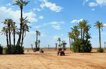 Marrakech Desert and Palm Grove Quad Bike Tour