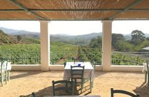 Butterflies Valley & Wine Tasting Experience Private Tour