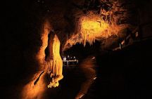 Sanctuary Mountain (Mt Maungatautari) & Waitomo Luxury Day tour from Auckland