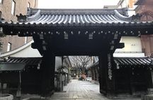 Local Osaka Day Trip with Native English Speaker in Japan 41 yrs!