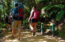 Self-Guided Queen Charlotte Track Walk from Picton