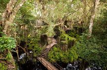Beng Mealea Temple & Kompong Khleang Floating Village