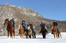 Horseback-Riding in a Country Side in Sapporo - Private Transfer is Included