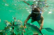 Punta Cana Party Boat Snorkeling with Music DJ and Open Bar