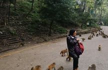 Private Guiyang Day Tour including Qingyan Ancient Town and Qianling Park
