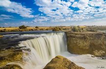 Day Tour to El Fayoum Oasis and Wadi al Rayan
