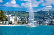 Half Day Tour of Wellington