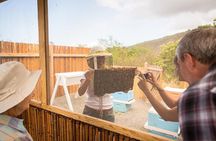 Kona Tour: Bee Farm, Kona Coffee, and National Historical Parks