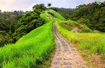 Ubud Countryside Tour: Campuhan Ridge Walk and Rice Terrace