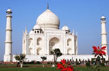 Taj Mahal & Agra Fort With Mother Teresa's Missionaries Of Charity From Delhi