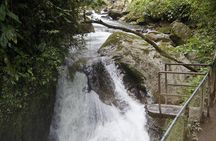 Mindo Cloudforest and Birdwatching from Quito BY ECUADORTREASURE