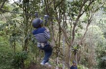 Mindo Cloudforest and Birdwatching from Quito BY ECUADORTREASURE
