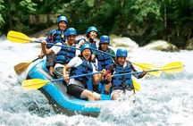 Bali Rafting and Private Combination Ubud Tour Packages