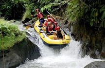 Bali Rafting Ayung River - Ubud White Water Rafting