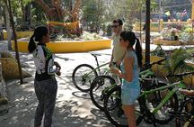 Explore Bangkok by Bike & Boat with Lunch