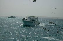 Private sea trip Hurghada