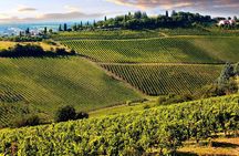 Chianti Half-Day Wine Tour in the Tuscan Hills Small Group from Lucca