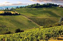 Chianti Half-day Wine Tour in the Tuscan's Hills from Pisa