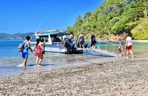 Day Cruise & Island Tour - Snorkel/Wildlife/Paddleboard/Islands
