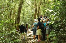The best Full Day Combo Tour - Volcanoes, Lake & Mayan Sites