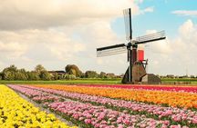 Tulip Experience and Keukenhof Flower Gardens Tour from Amsterdam